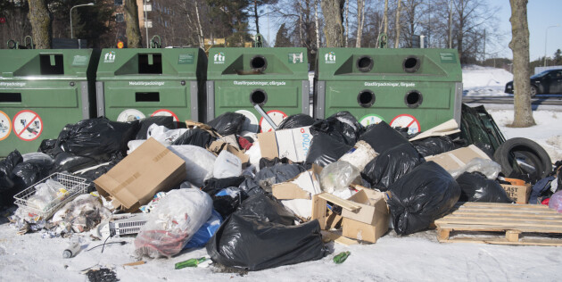 Ikke dømt for dyreplageri